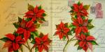 043 Christmas Flowers - 3-ply  - Ambiente